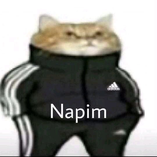 napimkedi