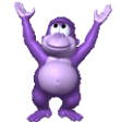 bonzi20