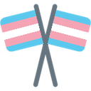 crossedtransflag