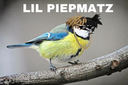 pip99