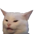 confusedcat74