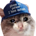 sadcatautism