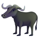 waterbuffalo
