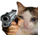 sadcatgun