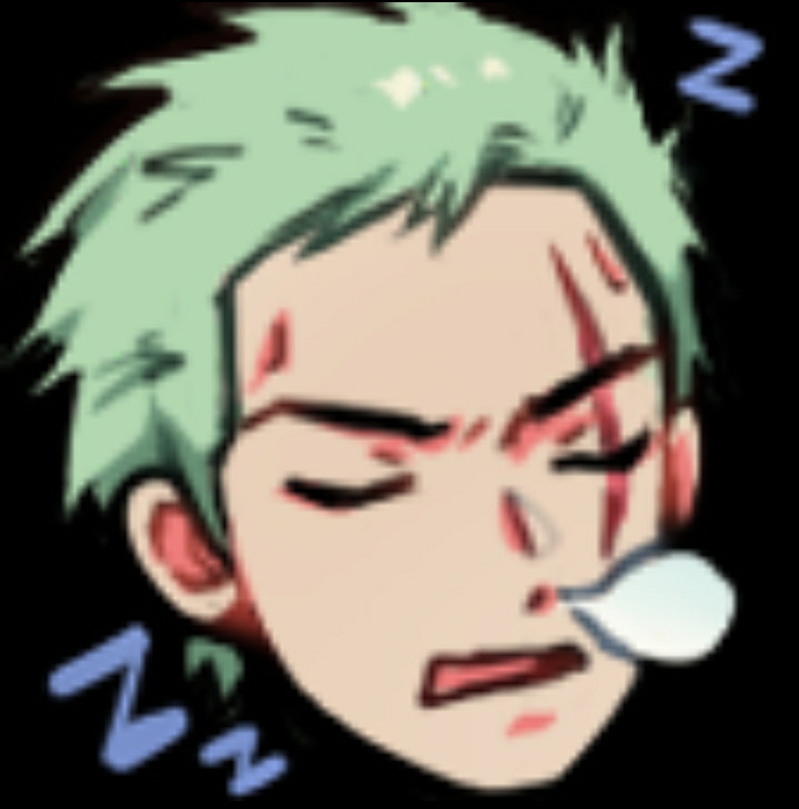 sleepyzoro