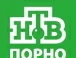 htbporn