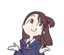 akkoshrug43