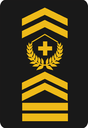 chiefwarrantoffi