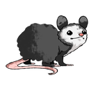 possum93