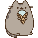 icecreamcatcute