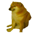 dogecheems64