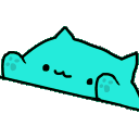 hyperbongocat24