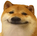doge60
