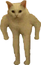 standingcate