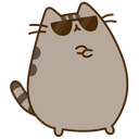 coolpusheen21