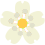 flowerbeige