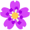 flowerneonpurple