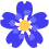 flowerdarkblue