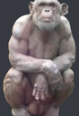 ksi89