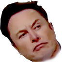 musk1