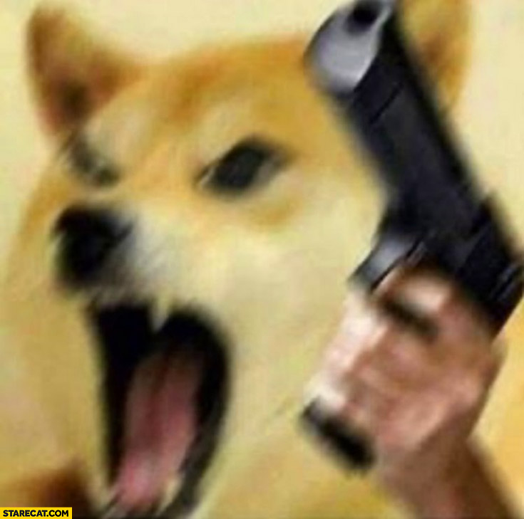 angrydoggo