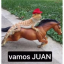 vamosjuan