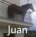 juan42