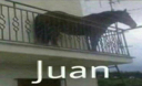 juan87