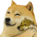 dogehugcheems2si