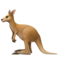 kangaroo84