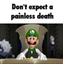 luigicouncil53