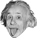 einstein61