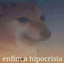 enfimahipocrisia