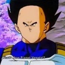 vegeta16