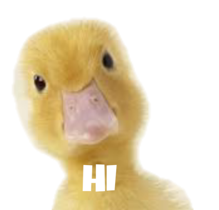 duck