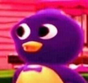 pablo16