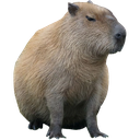 capybara