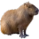 capybara45