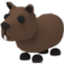 capybara99