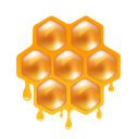 hive