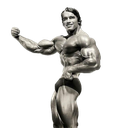 arnold3