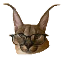 flopnerd62