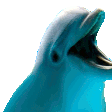 autisticdolphin7