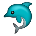 dolphin64