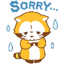 aaraccoonsorry30