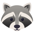 raccoon59