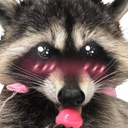 raccoonblushing3