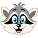 raccoon55