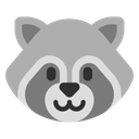 raccoon1f99d76