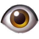 eyeani